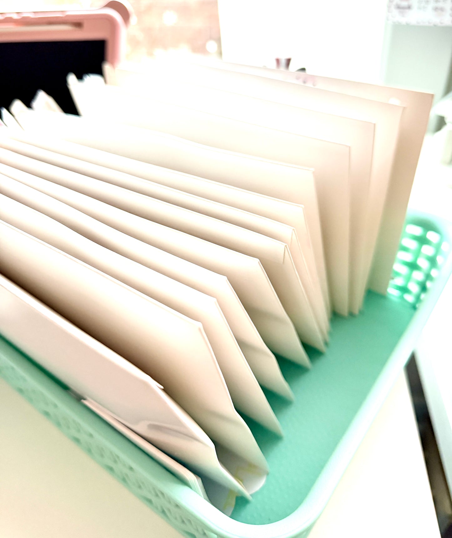 All packed up and ready for their new home!